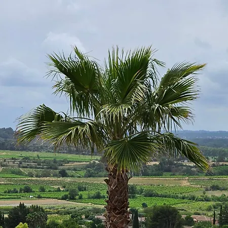 Domaine Du Chene Campagnan