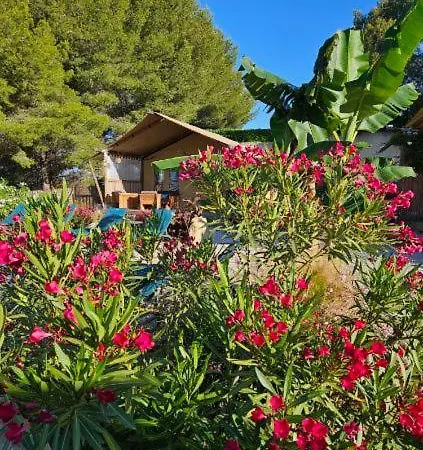 Luxury tent Domaine Du Chene