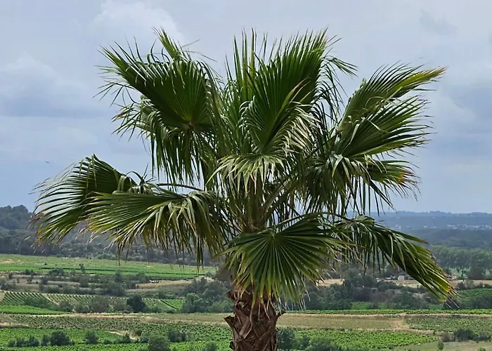 Domaine Du Chene Campagnan